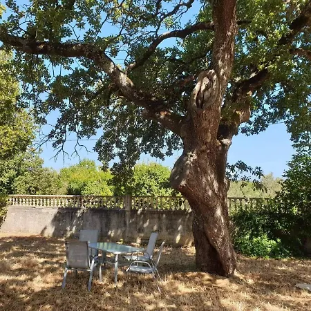 Pasiphae Villa