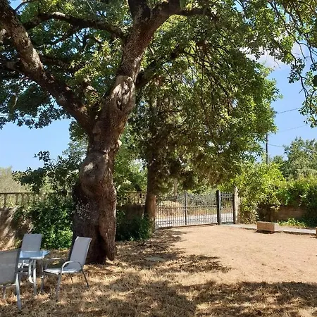 Villa Pasiphae